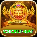 cricket bat Earn Extreme v1.6.9