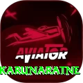dimuth karunaratne - Champion Edition v1.6.3