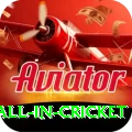 fastest ball in cricket King Jackpot