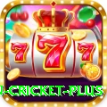 fastest ball in cricket VIP - Free Download