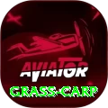 grass carp Royal Latest v1.5.1