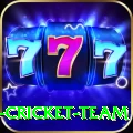 ireland cricket team Pro v4.0.0