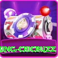 live cricket streaming cricbuzz King Slots