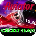pakistan women cricket team Live Champion v1.0.4