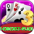 play cricket Premium v1.3.0