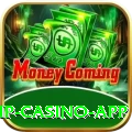 rs786 VIP Casino App