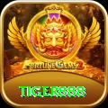 tiger888 Casino Official v5.8.8