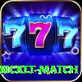to day cricket match VIP v1.0.7
