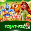 tojay APK Mega v3.7.9