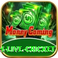 watch live cricket Slots Master v4.1.0